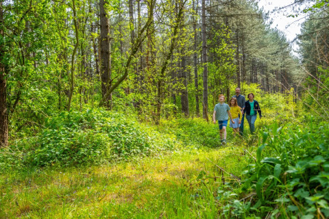 Una familia pasea por un sendero boscoso y verde de un parque vacacional que ofrece alojamientos de glamping.