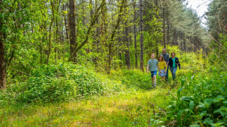 Eine Familie spaziert auf einem naturreichen Weg in einem Ferienpark, der Glamping-Unterkünfte anbietet.