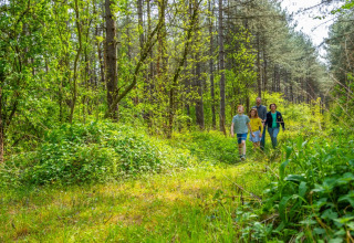 Een gezin wandelt door een bosrijke omgeving in een vakantiepark met glampingverblijven.