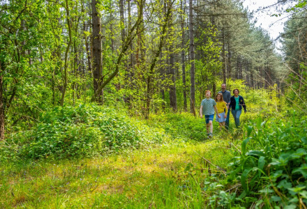 Eine Familie spaziert auf einem naturreichen Weg in einem Ferienpark, der Glamping-Unterkünfte anbietet.