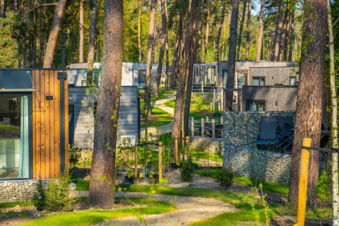 Glampingaccommodaties in een vakantiepark tussen hoge bomen, moderne huisjes en groene natuur.