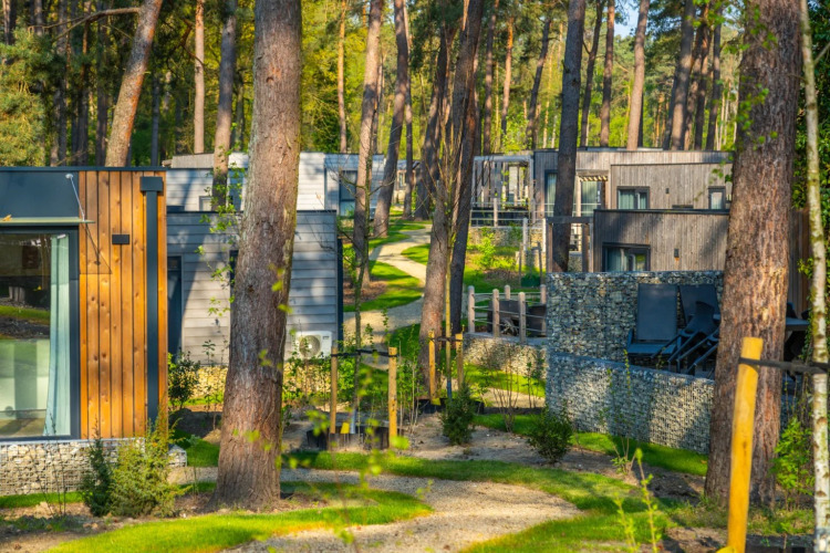 Glamping-Unterkünfte im Ferienpark zwischen hohen Bäumen und modernen Gebäuden bei Sonnenlicht.