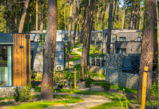 Glampingverblijven in een vakantiepark tussen hoge bomen met moderne chalets en natuurlijke omgeving.