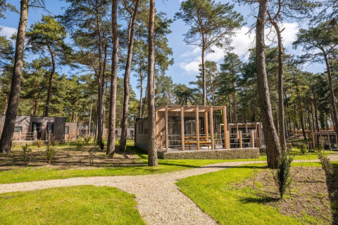 Foto de un parque vacacional con alojamientos de glamping entre altos pinos y caminos verdes soleados.