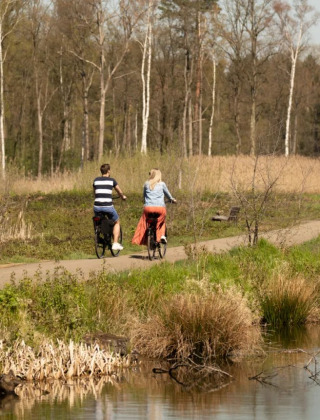 Zwei Personen fahren im Frühling auf einem Naturweg an einem See in einem Glamping-Ferienpark Fahrrad.