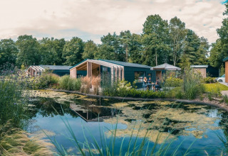 Holiday park with glamping lodges by a pond, surrounded by greenery and guests enjoying outdoors.