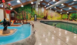Overdekt zwembad bij een vakantiepark met een bosmuurschildering en een kindvriendelijke waterspeeltuin.