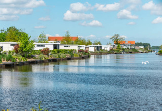 Alojamientos glamping modernos junto a un lago en un parque vacacional rodeado de vegetación.