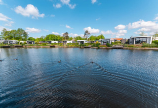 Modern glamping cabins by a lake in a holiday park, surrounded by greenery and a bright blue sky.