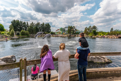 Gezin kijkt naar dolfijnenshow bij een meer in een vakantiepark met glamping, omgeven door natuur.