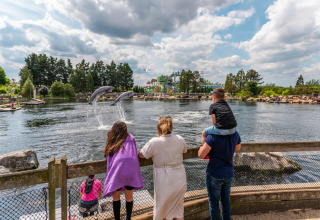 Familie nyder delfinshow ved sø i feriepark med luksustelte, omgivet af skov og blåt skyet himmel.