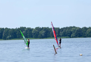 Deux personnes font de la planche à voile sur un lac, près d'une forêt, dans un parc de glamping.
