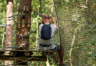 Person participating in a treetop rope course at Recreatiepark de Paalberg, Gelderland, Netherlands.
