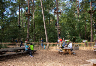 Outdoor adventure park at De Paalberg with people climbing trees and sitting at benches in a wooded area.