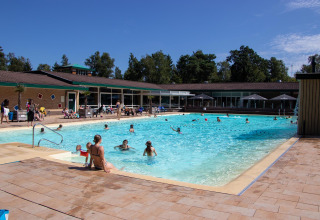 Outdoor swimming pool with families and kids enjoying the sun at Recreatiepark de Paalberg, Gelderland.