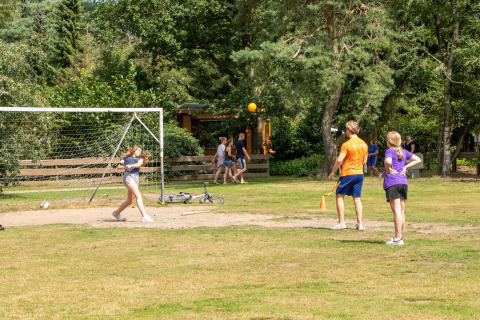 Children playing rounders on a grassy field with a goal, bike, and trees at Recreatiepark de Paalberg, NL.