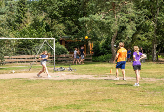 Kinder spielen Schlagball auf einer Wiese mit Tor, Fahrrad und Bäumen im Recreatiepark de Paalberg.