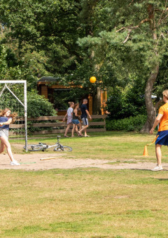 Niños juegan al béisbol en un campo de césped con portería y árboles en Recreatiepark de Paalberg, Holanda.