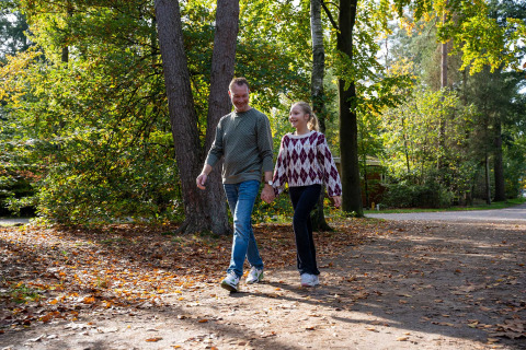 Un père et sa fille marchent main dans la main dans un sentier boisé de Recreatiepark de Paalberg, Gelderland.