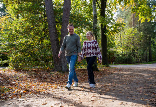Padre e figlia camminano mano nella mano su un sentiero forestale a Recreatiepark de Paalberg, Gelderland, Paesi Bassi.