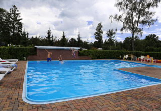 Bambini che saltano nella piscina all'aperto a Camping de Meibeek, un parco vacanze in Gelderland, Paesi Bassi.