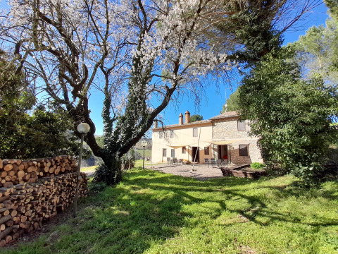 Vista soleada de Casa & Glamping Sorriso, parque vacacional en Umbría, Italia, con árboles en flor y jardín verde.