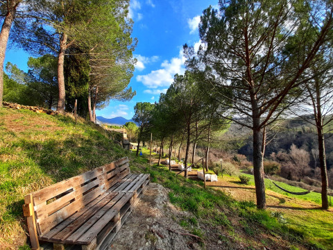 Banco de madera y mesas bajo árboles en Casa & Glamping Sorriso, Umbría, Italia, rodeados de naturaleza.