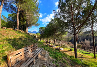 Wooden bench and picnic tables under trees at Casa & Glamping Sorriso, Umbria, Italy, on a sunny hillside.