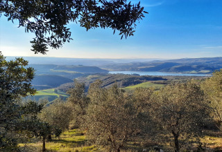 Zicht op heuvels en een meer bij Casa & Glamping Sorriso in Umbrië, Italië, met olijfbomen op de voorgrond.