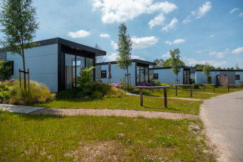 Modern glamping cabins at a holiday park, surrounded by grass and trees under a bright blue sky.