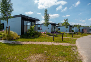 Cabines glamour modernes dans un parc de vacances, entourées de verdure sous un ciel bleu clair.