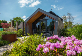Moderne glampinghytte med stort vindue omgivet af blomster og grønne planter i en feriepark.