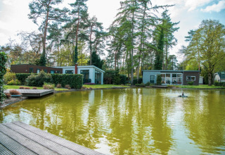 Vakantiepark met moderne glampingverblijven aan een vijver, omgeven door hoge bomen en natuur.