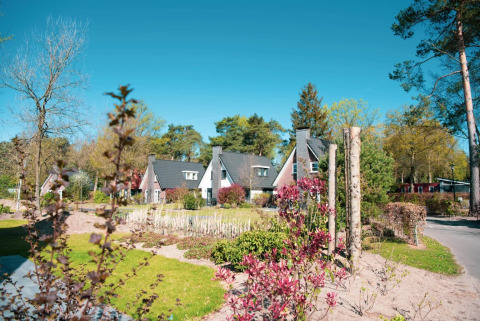 Vakantiepark met glampingverblijven, moderne chalets tussen bloemen en bomen onder een stralend blauwe lucht.