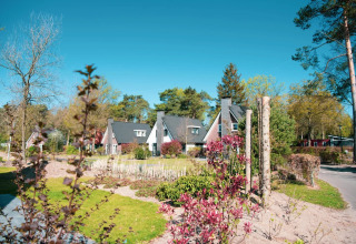 Vakantiepark met glampingverblijven, moderne chalets tussen bloemen en bomen onder een stralend blauwe lucht.