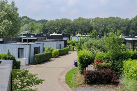 Holiday park with modern glamping cabins, landscaped paths, and lush greenery surrounded by forest.