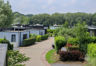 Feriepark med moderne glamping-hytter og frodig beplantning, omgivet af grønt og skov i baggrunden.