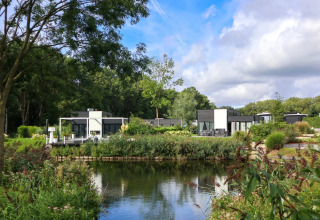 Moderne glampinghytter ved en sø i et feriepark, omgivet af grønt og træer under en blå himmel.