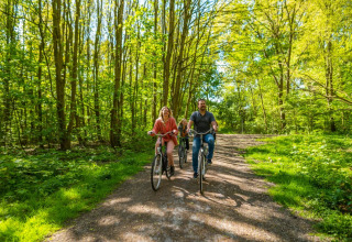 Une famille fait du vélo sur un chemin forestier ensoleillé dans un parc de vacances avec glamping.