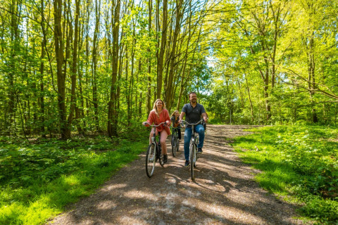 A family rides bicycles on a sunny forest trail at a holiday park offering glamping accommodations.