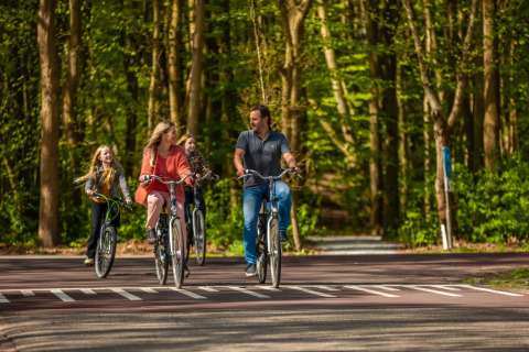 Famiglia in bicicletta in una foresta in un villaggio vacanze che offre sistemazioni glamping nella natura.