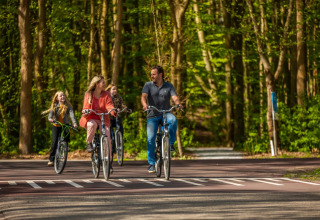 Familie cykler gennem en grøn skov på ferie i en feriepark med glamping overnatning i naturen.