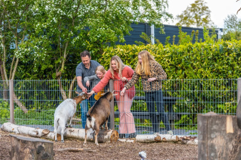Familie voert geiten aan het hek in een vakantiepark met glamping, omringd door bomen en groene hagen.