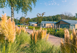 Vakantiepark met glampinglodges, groene tuinen, blauwe lucht en een rustige vakantiesfeer.