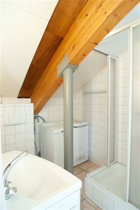 Baño pequeño en Grasdakbungalow con ducha, lavadora y vigas a la vista bajo el techo inclinado.