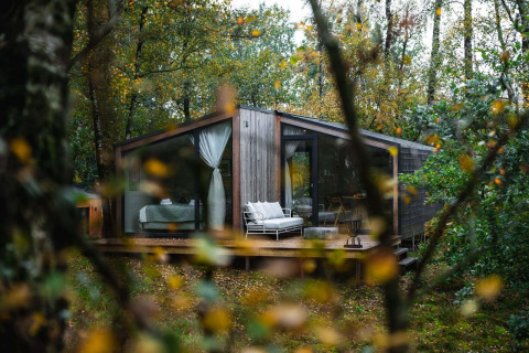 Moderne træhytte kaldet Cabin on the Hill på Wilsumer Berge i Tyskland, omgivet af frodig skovnatur.