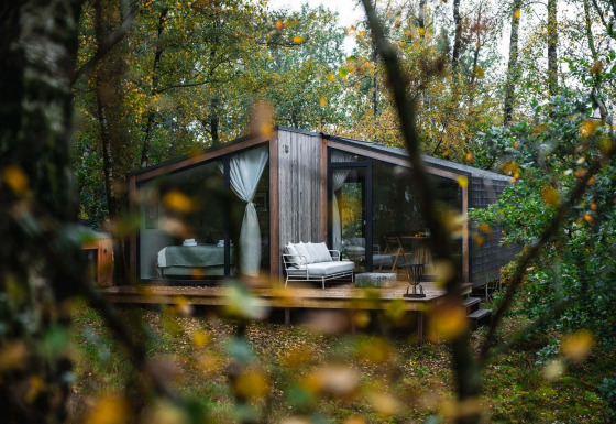 Cabaña moderna de madera llamada Cabin on the Hill en Wilsumer Berge, Alemania, rodeada de un bosque frondoso.