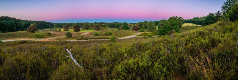 Panoramisch uitzicht op een groen landschap met wandelpaden bij avondlicht in een vakantiepark voor glamping.