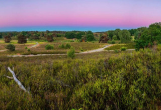 Panoramisch uitzicht op een groen landschap met wandelpaden bij avondlicht in een vakantiepark voor glamping.