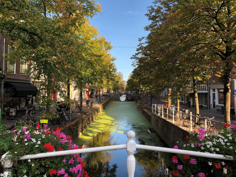 Een schilderachtige gracht met fietsen, bomen en bloemen in Delftse Hout, Zuid-Holland, Nederland.